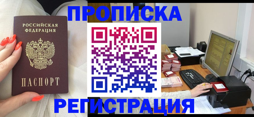 где прописаться в Щёкино
